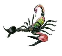 HUIBBGO Modèle Anatomique de Scorpion en 4D, modèle d'anatomie des Organes d'insectes, modèle pédagogique Animalier avec 29 pièces Amovibles, Puzzle tridimensionnel, Jouet Parent-Enfant po