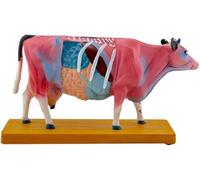 HUIBBGO Modèle d'acupuncture des Points de Pression chez la Vache, modèle d'acupuncture Bovine avec 68 Points d'acupuncture, modèle d'anatomie des Points de Pression Animale pour l'enseign