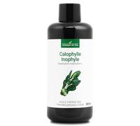 Huile de Calophylle Inophyle BIO - Fraîcheur Garantie OxyCert® - Vierge & de 1ʳᵉ Pression à Froid