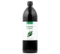Huile de Calophylle Inophyle BIO - Fraîcheur Garantie OxyCert® - Vierge & de 1ʳᵉ Pression à Froid