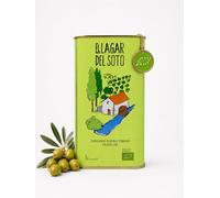 Huile d'olive vierge extra biologique Boîte 1 litre BIO - Première extraction à froid - Meilleure huile BIO d'Estrémadure - Manzanilla Cacereña, Saveur fruitée intense - HOVE 1 Jacoliva