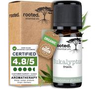 Huile Essentielle D`Eucalyptus Bio 10 Ml-Eucalyptus Globulus-100% Pure-Pour Aromathérapie,Diffuseur,Parfum D`Ambiance,Bougies
