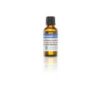 Huile essentielle d'armoise blanche Terpenic Bio 30ml