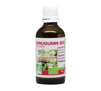 Huile Essentielle De Marjolaine Sylvestre Bio 50ml