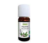 Huile essentielle de Menthe des champs Bio - Mentha arvensis flowers oil - 100% pure et naturelle - 10ml - PROPOS'NATURE
