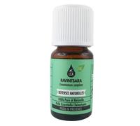 Huile Essentielle De Ravintsara Bio 10 Ml