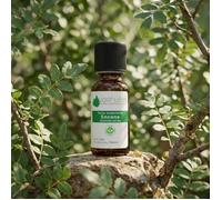 Huile Essentielle d'Encens Conditionnement 5ml