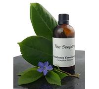 Huile essentielle d'eucalyptus - 100 % pure et naturelle - 100 ml