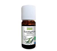 Huile essentielle d'Eucalyptus citronné Bio - Eucalyptus citriodora leaf oil - 100% pure et naturelle - 10ml - PROPOS'NATURE