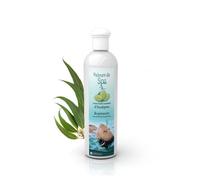 Camylle - Velours de Spa Eucalyptus - Fragrance à base d'Huiles Essentielles 100% Pures et Naturelles pour Spa - Respiratoire aux arômes frais et pénétrants - 250ml