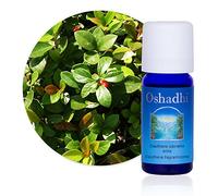 Huile essentielle : Gaulthérie odorante extra (Wintergreen) BIO - Gaultheria fragrantissima - 10 ml