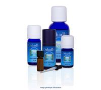 Huile essentielle : Perilla (Shiso) - Perilla frutescens - 1 ml