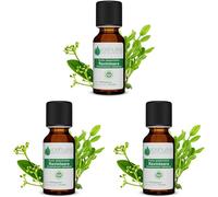 Huile Essentielle Ravintsara - 10ml - 100% Pure Et Naturelle - Hebbd - Utilisation En Massage Dans Huile Végétale - Parfum Très Aromatique - Traçabilité Et Qualité - Entreprise Française