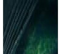 Huile Fin Studio XL 37 ML 17 Vert Vessie Pebeo