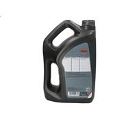 Huile moteur FUCHS OIL CP1002391 pour MAZDA 5 (CR) 2 2005-201
