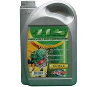 MINERVA OIL Huile Special motoculture 4 Temps 15W40 2 litres