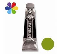 Huile S2 - 40ml - Vert Cinnabre 625 - Rembrandt