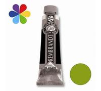 Rembrandt Oil Colour - 40 ml Cinabre Vert clair 626 - Peinture à l'huile d'artiste de première qualité, résistante à la lumière - consistance de pâte à tartiner