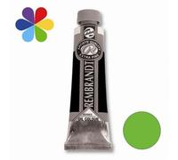Huile S3 - 40ml - Vert Permanent C 618 - Rembrandt