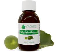 Huile Végétale De Calophylle - Tamanu - 100% Pure Et Naturelle - Possède De Nombreuses Propriétés En Aromathérapie - Utilisation Cutanée - Pression À Froid - 250ml - Voshuiles