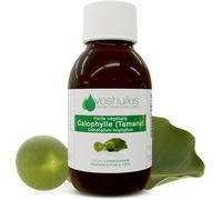 Huile Végétale de Calophylle - Tamanu - 100% Pure et Naturelle - Possède de Nombreuses Propriétés en Aromathérapie - Utilisation Cutanée - Pression à Froid - 60ml - VOSHUILES
