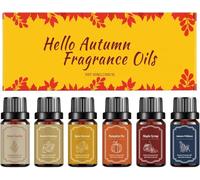 Huiles essentielles d'automne pour diffuseur, Coffret d'huiles essentielles d'automne pour diffuseur, Parfums DIY pour fabrication de bougies, Purificateur d'air, Fabrication de bougies, Salon, Yoga