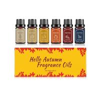 Huiles Essentielles,Decoration Automne Kit Huile Essentielle pour Diffuseurs 6x10ml,Dryer Ball,Pumpkin Pie,Autumn Wildness Making Scents Diffuser Oil,DIY Candle Making Scents for Diffuser