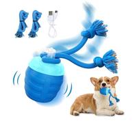 Huimpet Jouet interactif pour chien, balle interactive pour chiens de taille moyenne/grande taille, jouet à mouvement automatique pour l'ennui et le dressage, jouer de la musique, rechargeable par USB