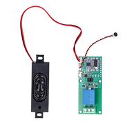 HUIOP Module Enregistreur Vocal HLK-V20 avec Jeu D'instructions DSP pour Usage Industriel et Automobile