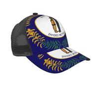 HUIopq Kentucky State Flag Print Casquette de baseball en maille respirante Confortable Sports Course Golf Activités de plein air Noir élégant