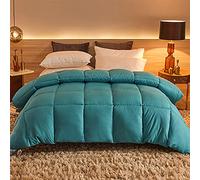 HULG Edredon Duvet?Couette Naturelle en Duvet d'oie Couette Plume?Couette Tres Chaude? Duvet Couette Anti-Acariens (Light Blue,200X230cm-3kg)
