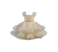 HULIJA Robe d'anniversaire Fête pour Princesse Bébé Fille Robes Tutu en Mousseline Robes De Mariage Noël Robe Enfant Fleur 12 Mois-7 Ans Champagne 18-24 Mois