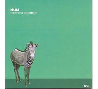 Hum - You'd Prefer an Astronaut