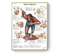 Humaine Anatomie Affiche, peinture Sur Toile d'Anatomie de Structure Musculaire/Organique/Osseuse Humaine, sans Cadre(I,30x45cm)