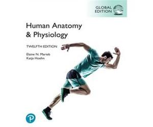 Human Anatomy Physiology Global Edition by Katja Hoehn Katja Hoehn (Auteur)