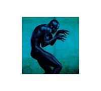 Seal – Human Being – Import (Rhino)