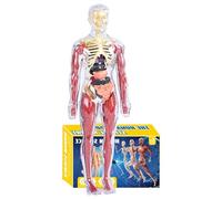 Human Body Anatomy Model Toy - Set éducatif de squelette organ | Kit d'apprentissage scientifique interactif avec manuel d'instructions (français non garanti), cadeau d'anniversaire parfait pour les