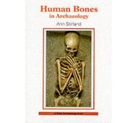 Human Bones In Archaeology