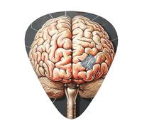 Human Brain Print Lot de 12 médiators épais assortis (0,46 mm, 0,71 mm, 0,96 mm) avec boîte de rangement et design unique assorti pour les joueurs acoustiques, électriques, basses et ukulélés