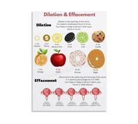 Human Development Educational Poster Birth Stages Overview Anatomy Canvas Print for Health Class Teacher Resource (Framed,08x12inch(20x30cm))