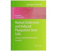 Human Embryonic And Induced Pluripotent Stem Cells