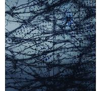 Human Rays - Tension