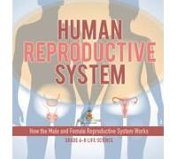 Human Reproductive System How The Male And Female Reproductive System Works Grade 6-8 Life Science