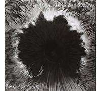 Humans the Size of M - Human Crop Circles [Import]