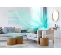 Humidificateur D'air De 3l Programmable Jusqu'à 45 M2 Blanc Rose Or