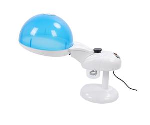 Humidificateur de Cheveux, Machine d'hydratation pour les Cheveux avec un Capot Professionnel 480W pour une Utilisation à la Salle (Prise UE 220V)