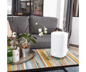Humidificateur solnan blanc