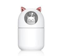 Humidificateur USB Humidificateur Mini portable nuisible avec une lumière LED de couleur pour les bureaux CHAUDS PLASSE 300 ml (Blanc)