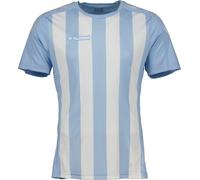 Hummel Adults Stripe Jersey Drill Top Arg Blue/Wh Petit Unisex