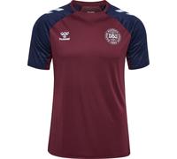 Hummel Danemark Maillot Pro Training 26/2028 Rouge/Bleu M